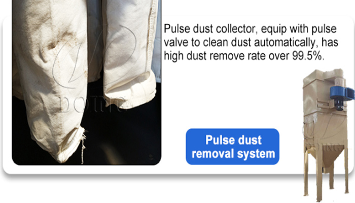 pulse dust removal system